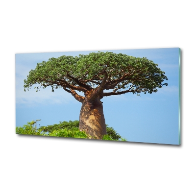 Foto obraz zdjęcie szkło hartowane Baobab