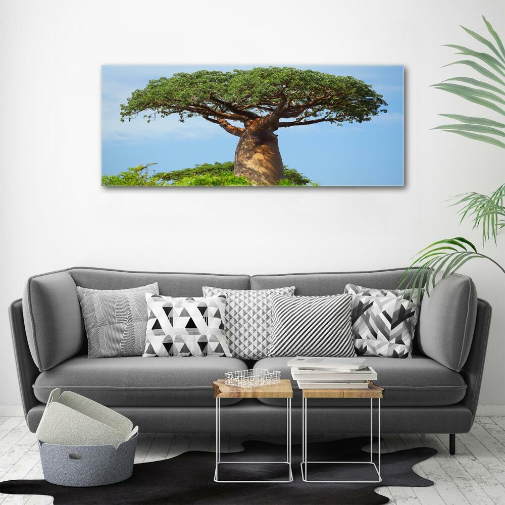 Foto obraz zdjęcie szkło hartowane Baobab
