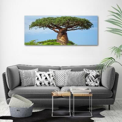 Foto obraz zdjęcie szkło hartowane Baobab