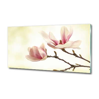 Foto obraz szkło hartowane Magnolia