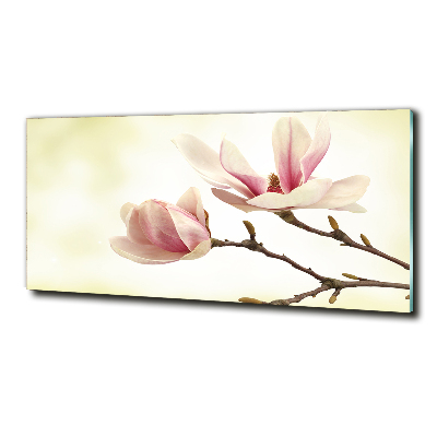 Foto obraz szkło hartowane Magnolia