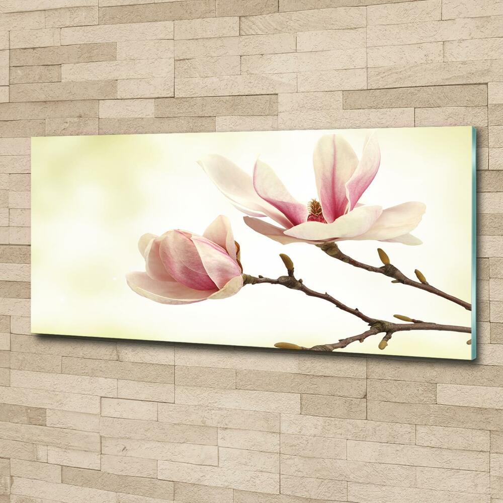 Foto obraz szkło hartowane Magnolia