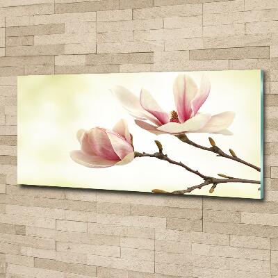Foto obraz szkło hartowane Magnolia