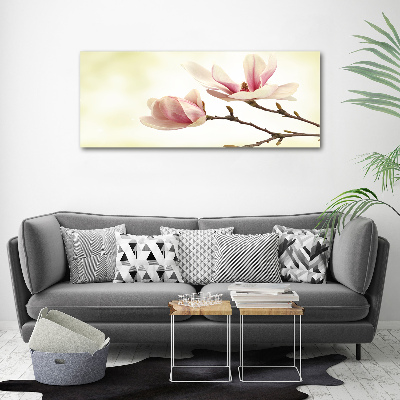 Foto obraz szkło hartowane Magnolia
