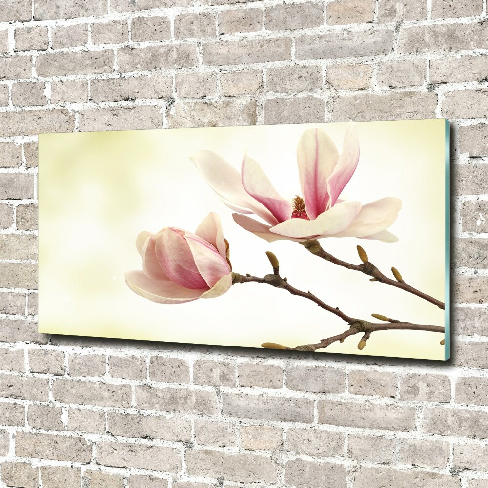 Foto obraz szkło hartowane Magnolia