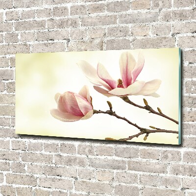 Foto obraz szkło hartowane Magnolia
