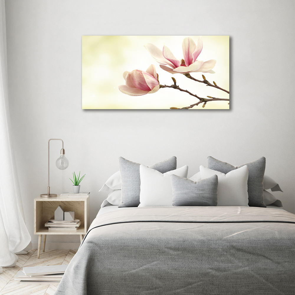Foto obraz szkło hartowane Magnolia