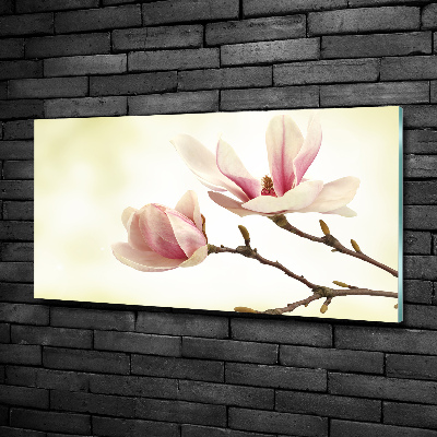 Foto obraz szkło hartowane Magnolia
