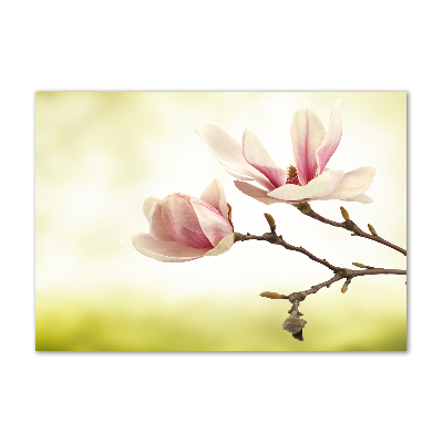 Foto obraz szkło hartowane Magnolia