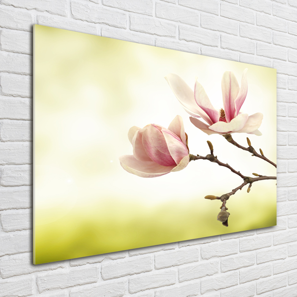 Foto obraz szkło hartowane Magnolia
