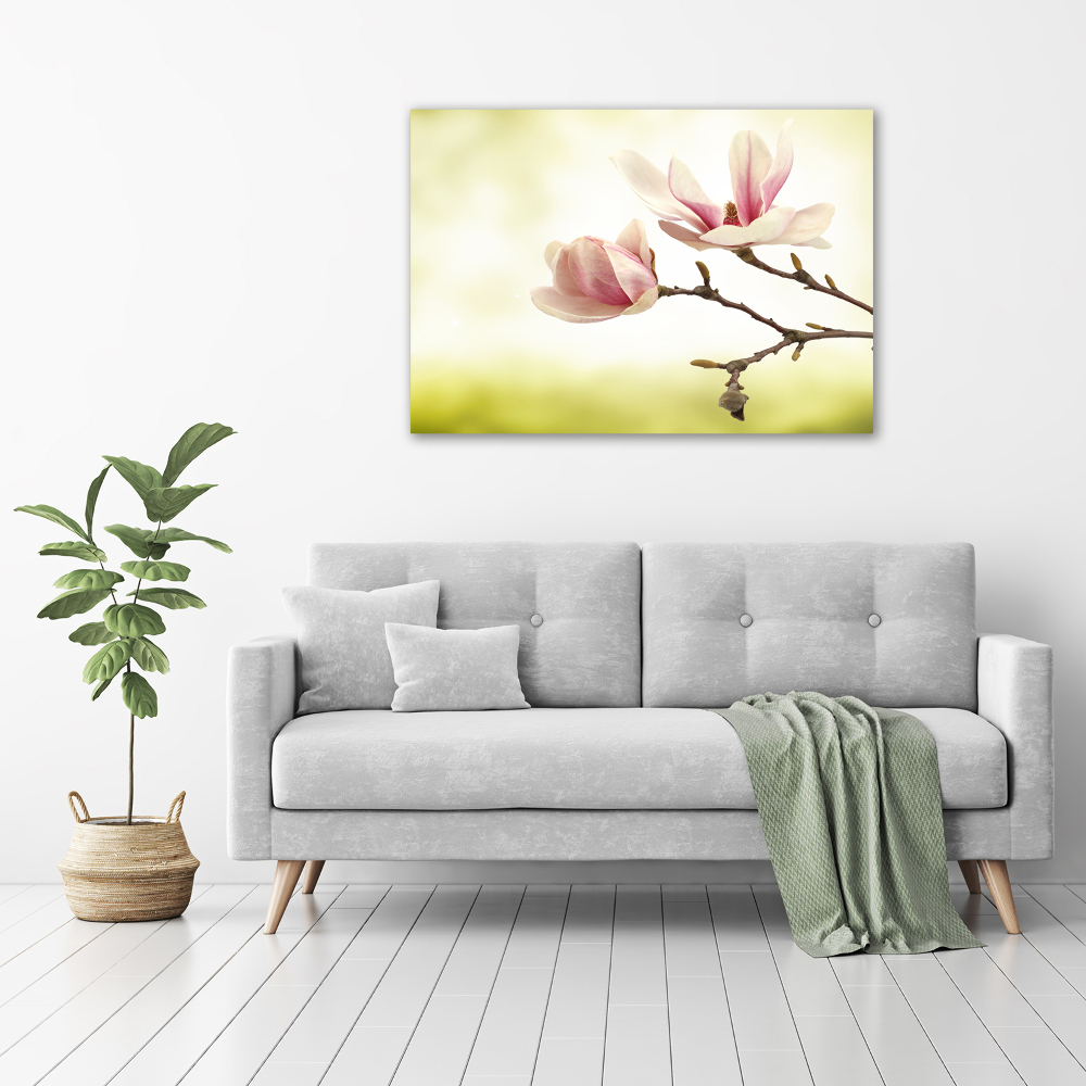 Foto obraz szkło hartowane Magnolia