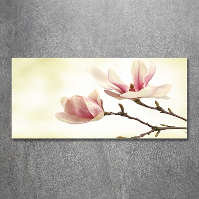 Foto obraz szkło hartowane Magnolia