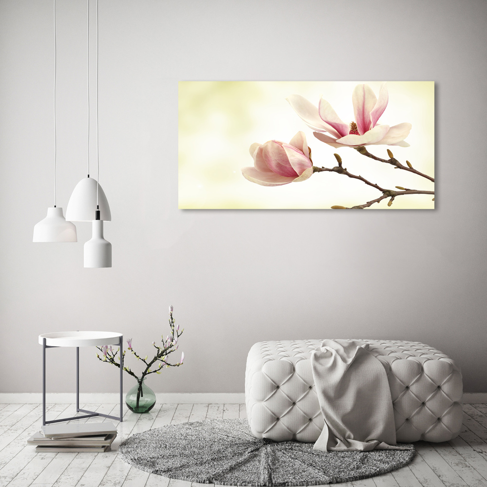 Foto obraz szkło hartowane Magnolia