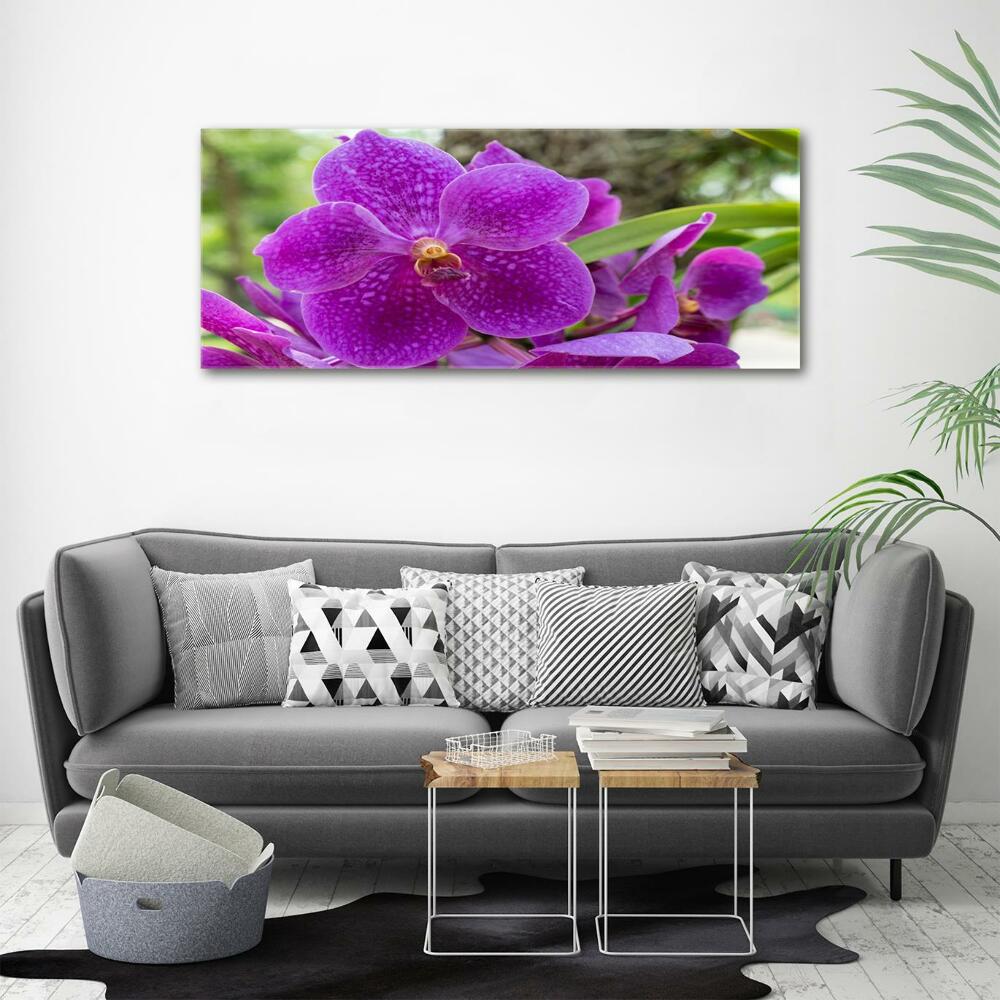 Foto obraz szkło hartowane Orchidea