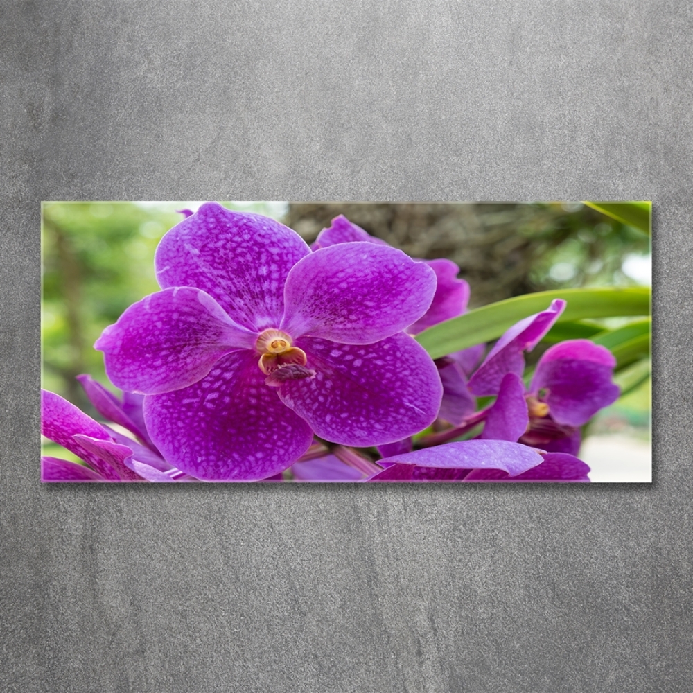 Foto obraz szkło hartowane Orchidea