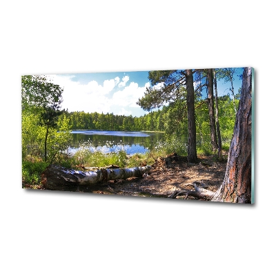 Foto obraz szkło hartowane Leśna panorama