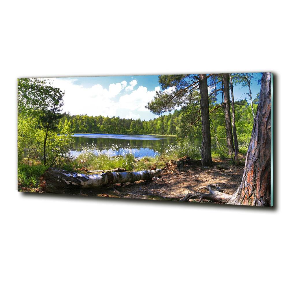 Foto obraz szkło hartowane Leśna panorama