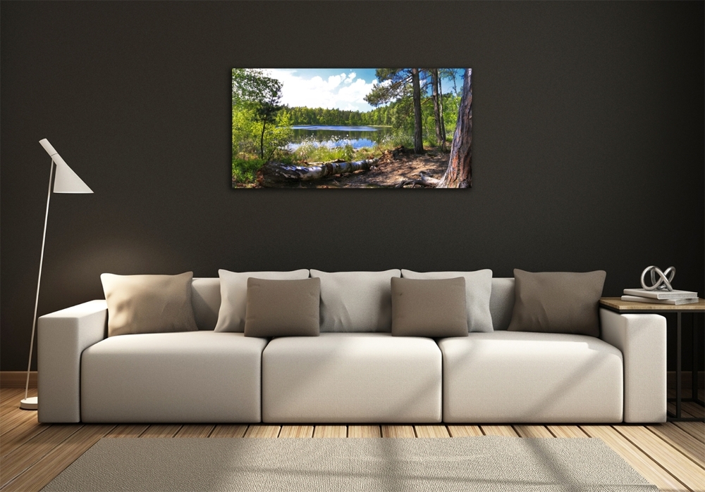 Foto obraz szkło hartowane Leśna panorama