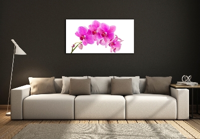 Fotoobraz na ścianę szklany Różowa orchidea