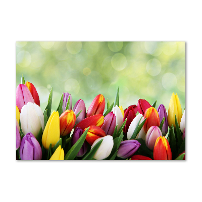 Foto obraz szklany Kolorowe tulipany