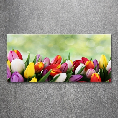 Foto obraz szklany Kolorowe tulipany