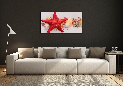 Foto-obraz szklany Rozgwiazda i muszle