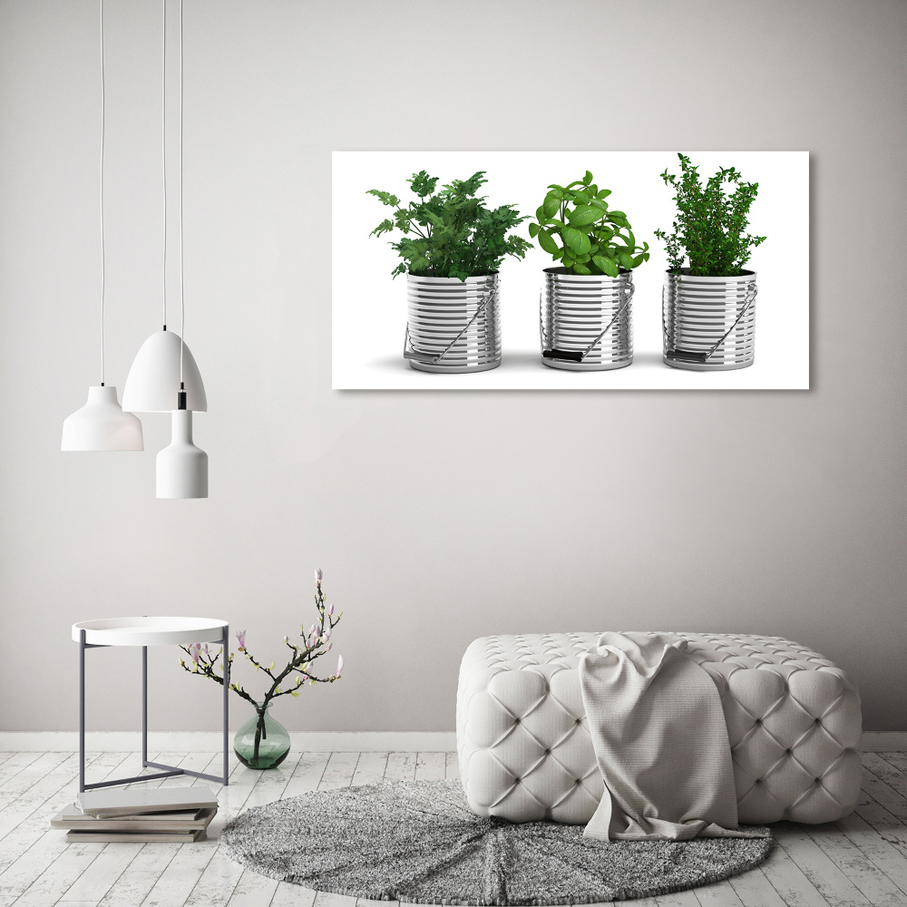 Foto obraz szklany Aromatyczne rośliny