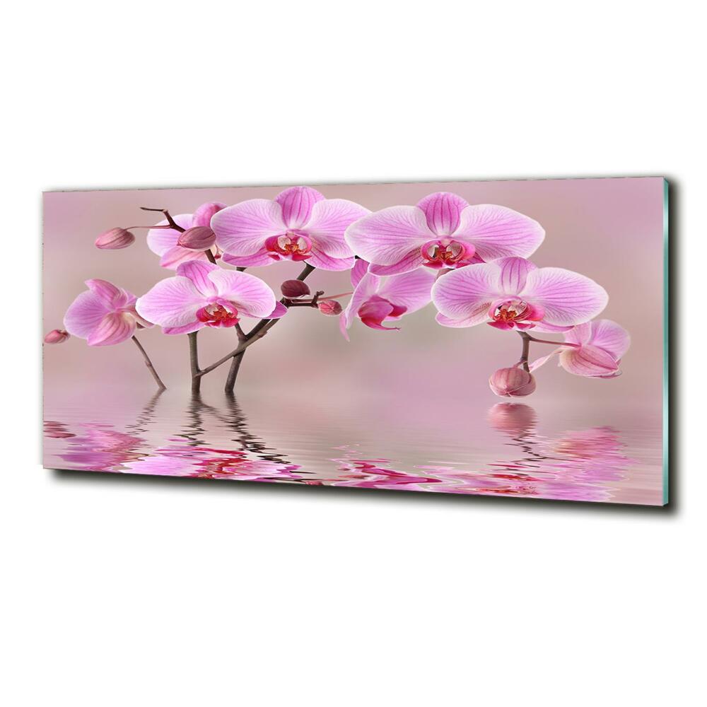 Fotoobraz na ścianę szklany Różowa orchidea