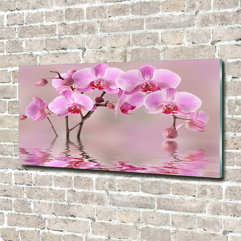 Fotoobraz na ścianę szklany Różowa orchidea