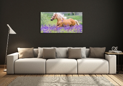 Foto-obraz szklany Koń na polu lawendy