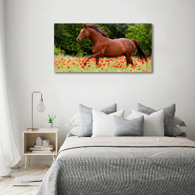 Foto-obraz szklany Koń na polu maków