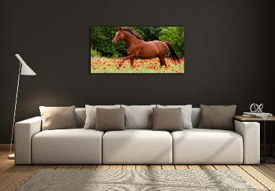 Foto-obraz szklany Koń na polu maków