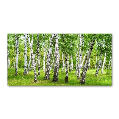 Foto obraz szkło hartowane Brzozowy las