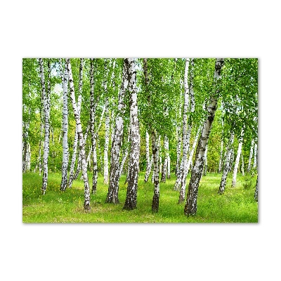 Foto obraz szkło hartowane Brzozowy las