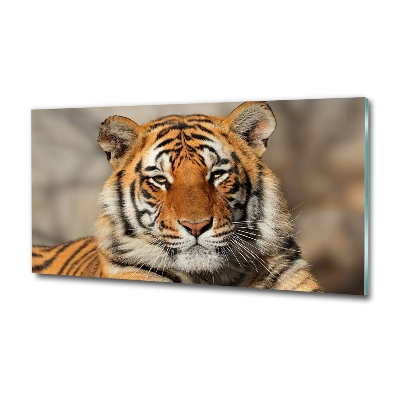 Foto-obraz szklany Tygrys bengalski