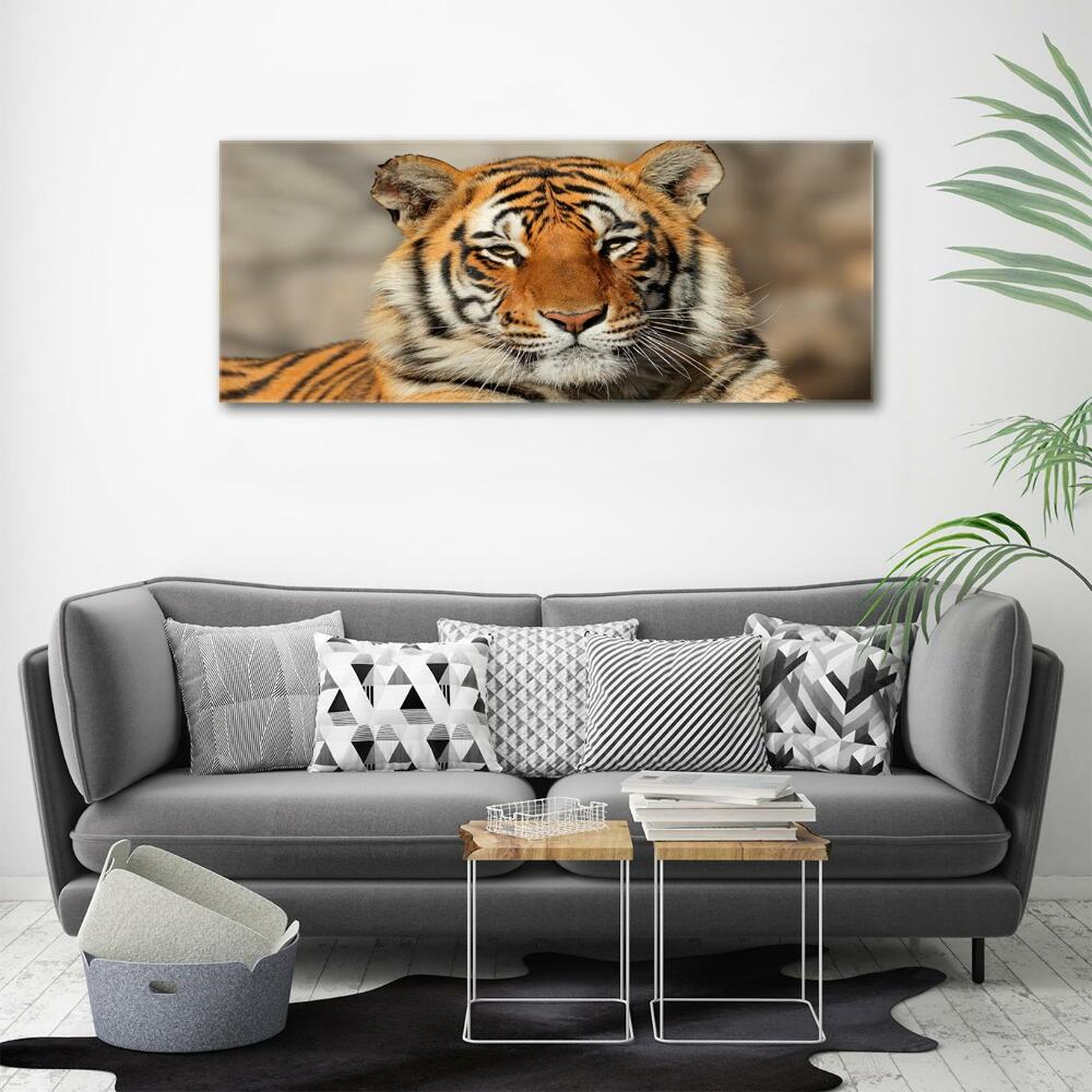 Foto-obraz szklany Tygrys bengalski