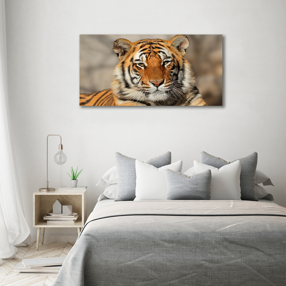 Foto-obraz szklany Tygrys bengalski