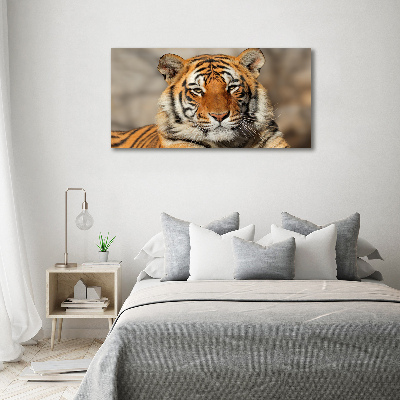 Foto-obraz szklany Tygrys bengalski