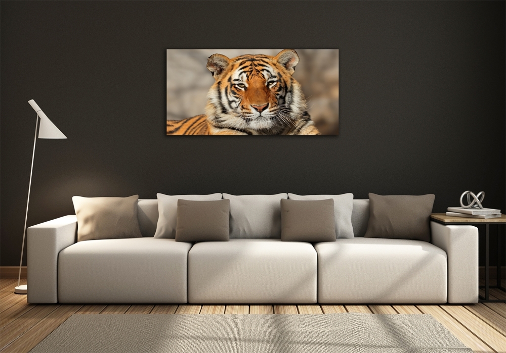 Foto-obraz szklany Tygrys bengalski