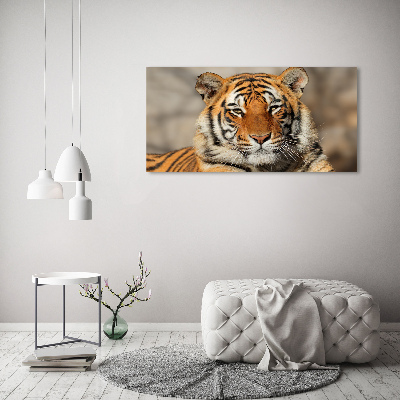 Foto-obraz szklany Tygrys bengalski