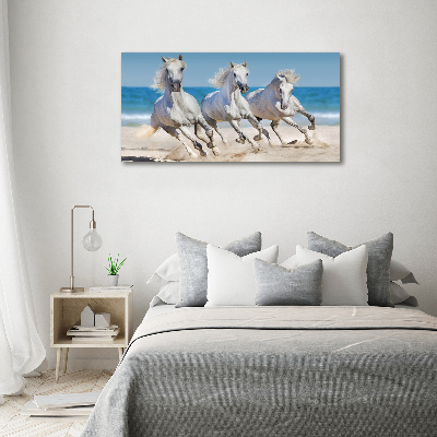 Foto-obraz szklany Białe konie plaża