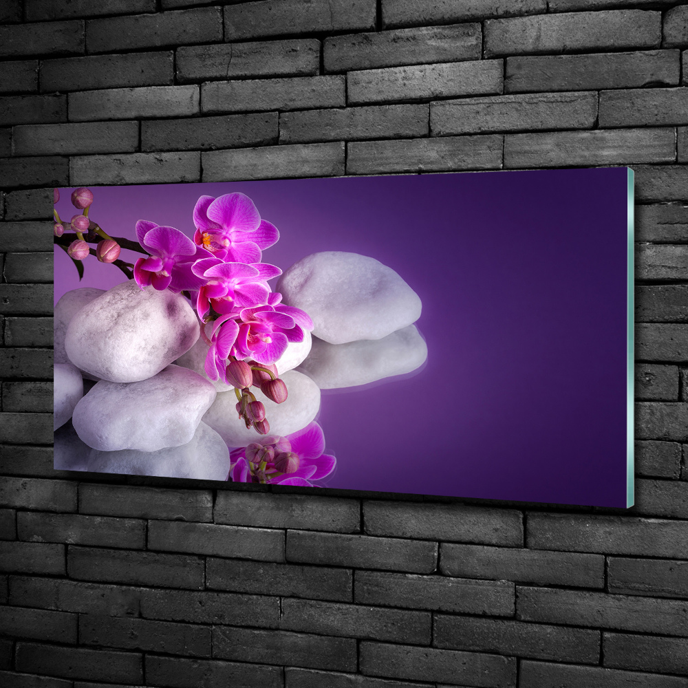 Foto obraz szkło hartowane Orchidea