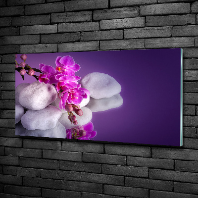 Foto obraz szkło hartowane Orchidea
