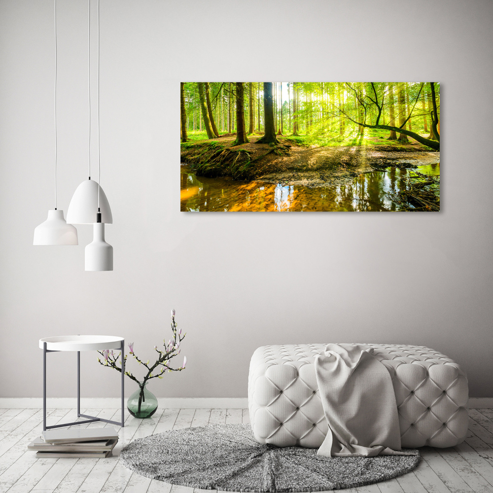 Foto obraz szklany Sadzawka w lesie