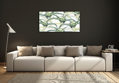 Foto obraz zdjęcie szkło hartowane Aloes