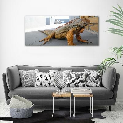 Foto-obraz zdjęcie szkło hartowane Iguana