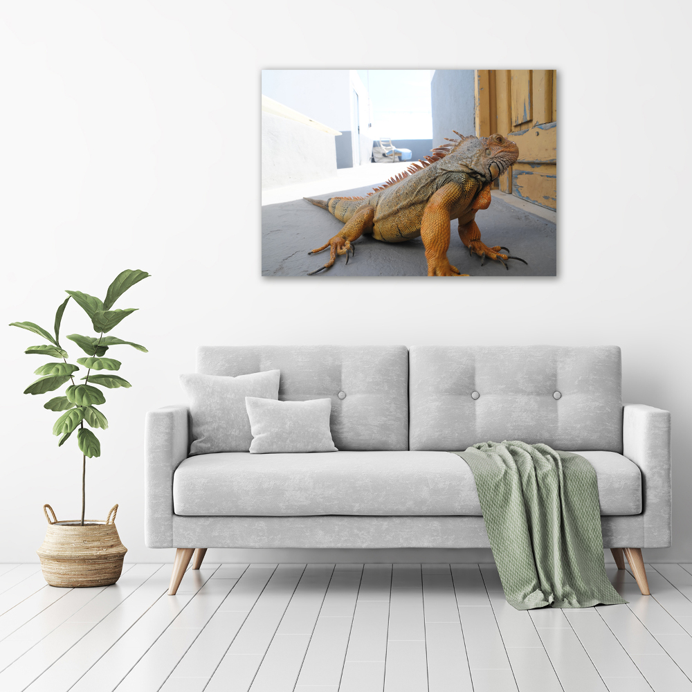 Foto-obraz zdjęcie szkło hartowane Iguana