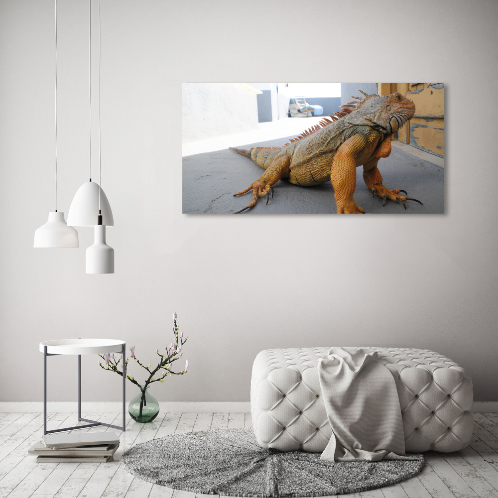Foto-obraz zdjęcie szkło hartowane Iguana