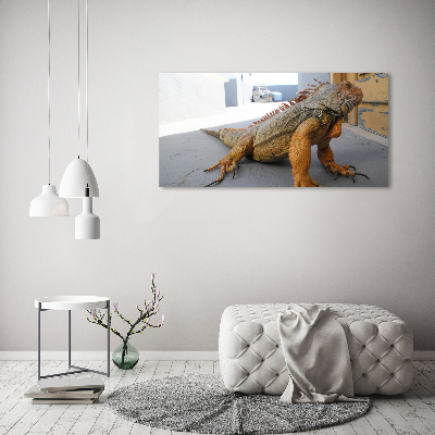 Foto-obraz zdjęcie szkło hartowane Iguana