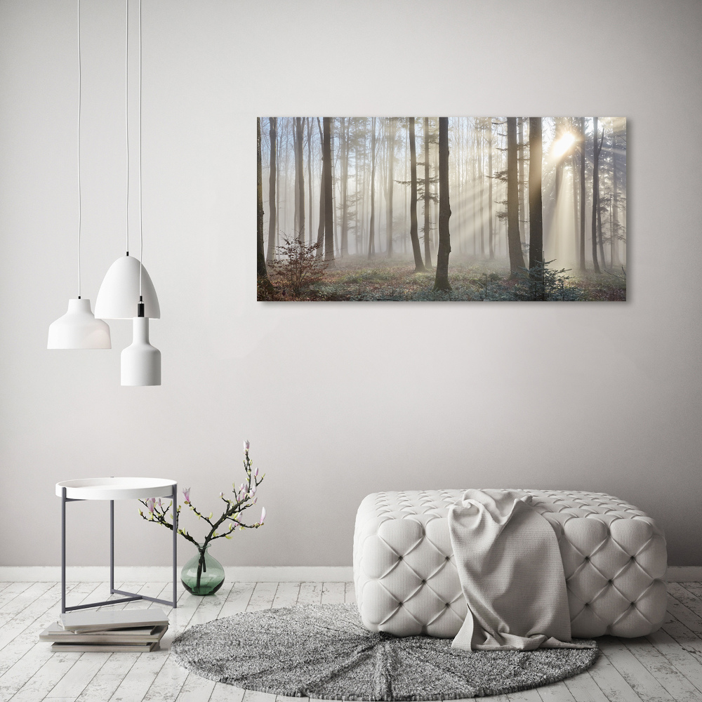 Foto obraz szkło hartowane Mgła w lesie